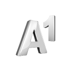 A1